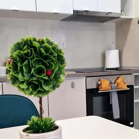 Esther Line Apartments-self Check-in,free Private Parking Subject To Availability Διαμέρισμα Τιμισοάρα