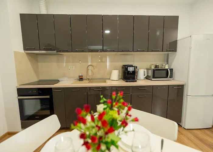 Esther Line Apartments-self Check-in,free Private Parking Subject To Availability Timişoara