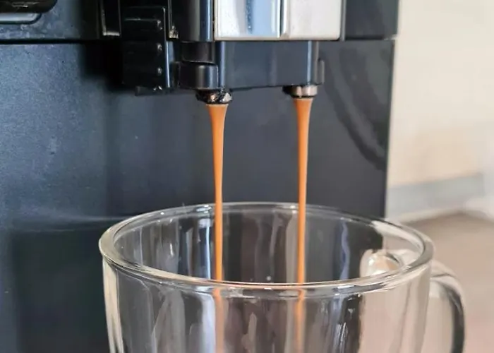 Esther Line Apartments-self Check-in,free Private Parking Subject To Availability Lägenhet Timişoara