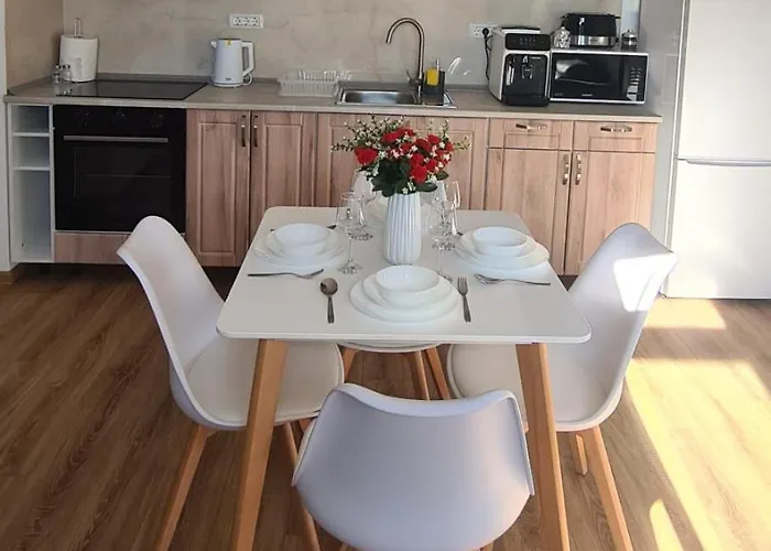 Esther Line Apartments-self Check-in,free Private Parking Subject To Availability * Timişoara