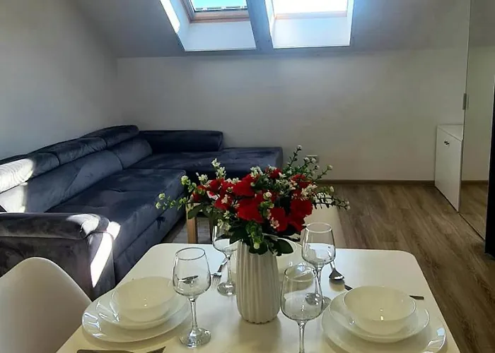 Esther Line Apartments-self Check-in,free Private Parking Subject To Availability Timişoara