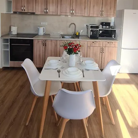 Esther Line Apartments-self Check-in,free Private Parking Subject To Availability * Timisoara