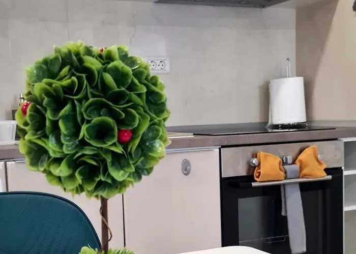 Esther Line Apartments-self Check-in,free Private Parking Subject To Availability Апартаменти Тімішоара